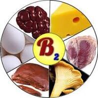 B2 B2 vitamīni smadzenēm